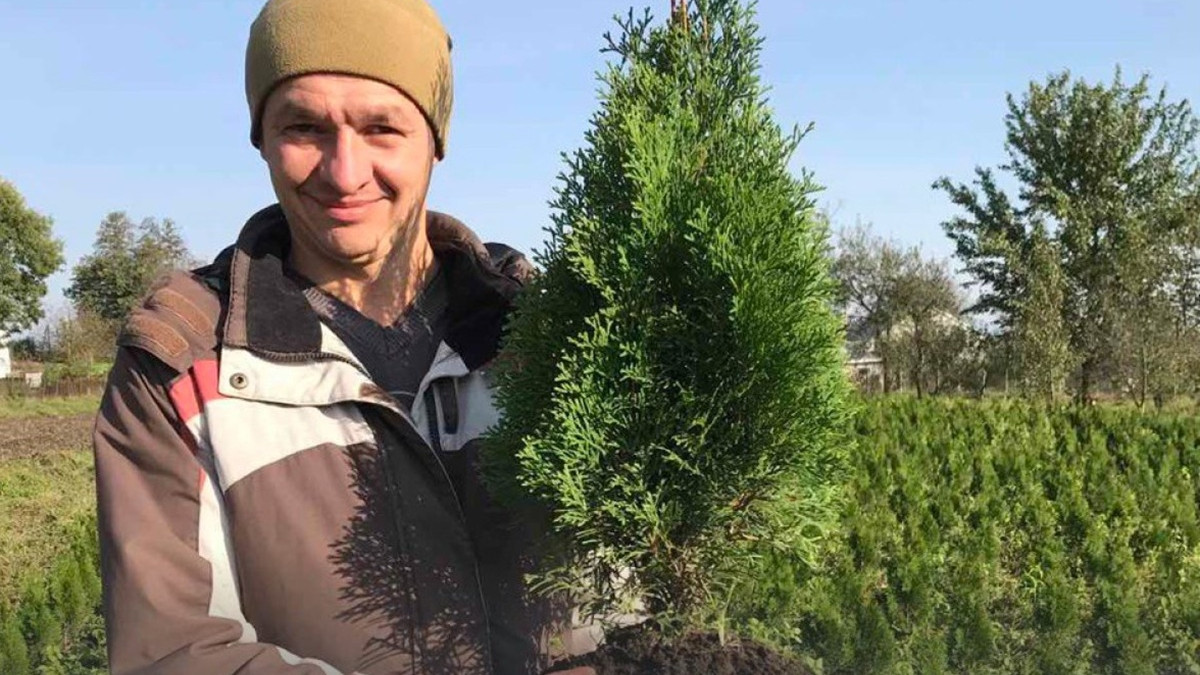 Ялівці, зелень і лаванда з 