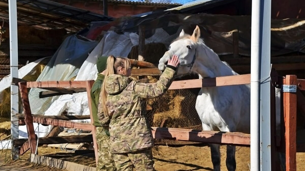 Іпотерапія для ветеранів та військових: як записатися на безкоштовні заняття у Львові