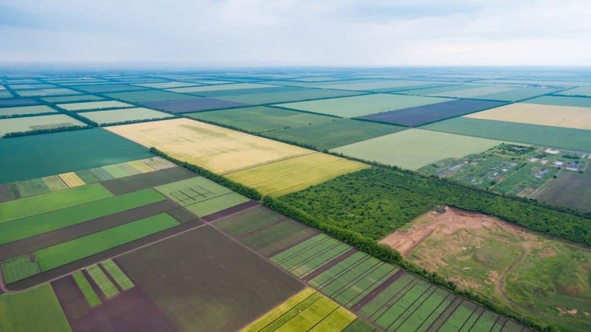 200 тис. грн замість ділянки: в Україні пропонують переглянути право ветеранів на отримання землі