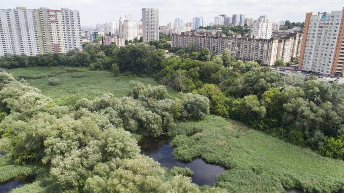 У Києві хочуть створити парк для реабілітації ветеранів – як підтримати ініціативу
