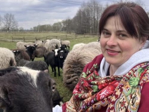 Дружина ветерана Олеся Паламарюк отримала грант та створила овечу ферму на Буковині – історія