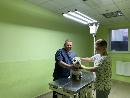 Рятують домашніх улюбленців та екзотичних тварин – ветеран Олег Кашляк відкрив ветклініку у Львові