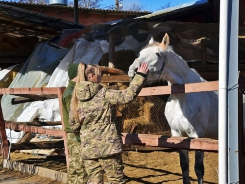 Іпотерапія для ветеранів та військових: як записатися на безкоштовні заняття у Львові