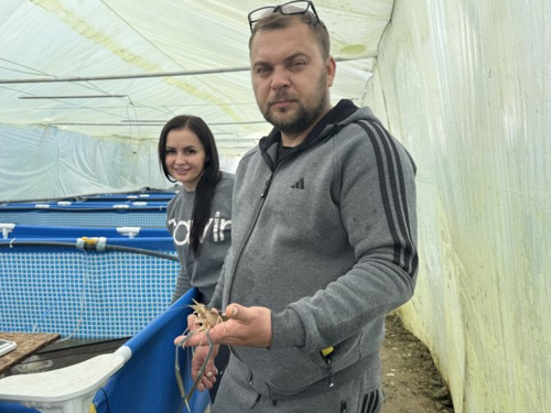 Перші на Закарпатті: ветеран Михайло Мальков з дружиною заснували унікальну акваферму
