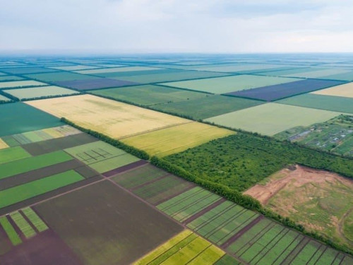 200 тис. грн замість ділянки: в Україні пропонують переглянути право ветеранів на отримання землі