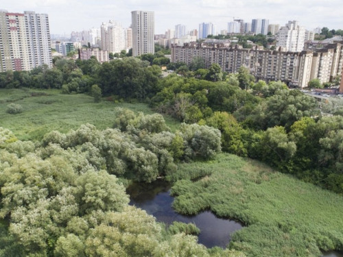 У Києві хочуть створити парк для реабілітації ветеранів – як підтримати ініціативу